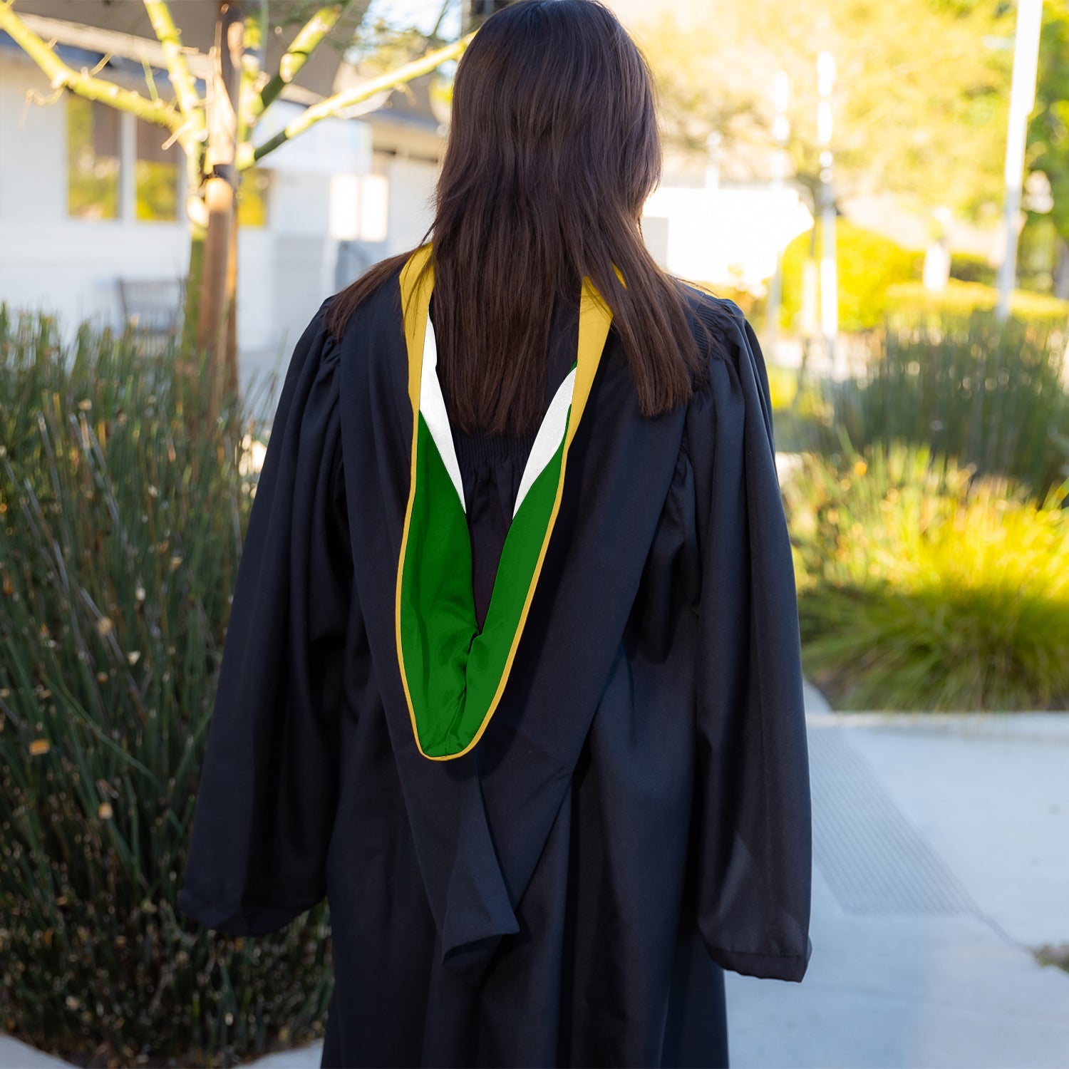 Bachelors Hood For Science, Mathematics, Political Science - Gold/Green/White - Endea Graduation