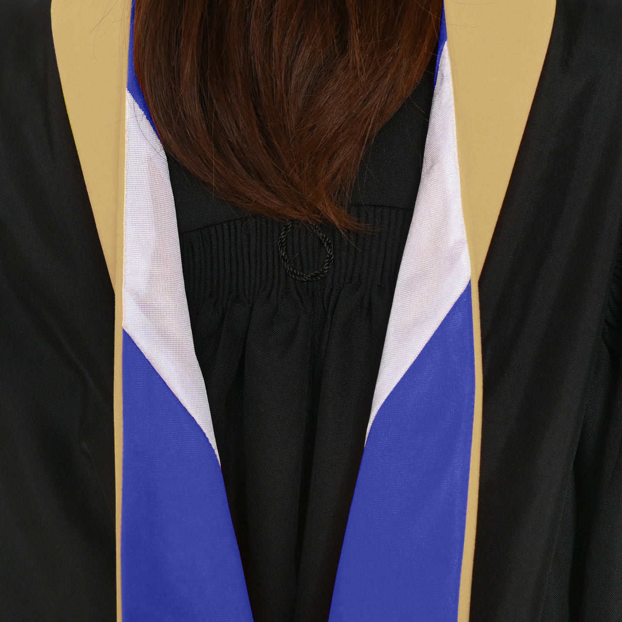Masters Hood For Social Work, Social Science, Social Service - Citron/Royal Blue/White