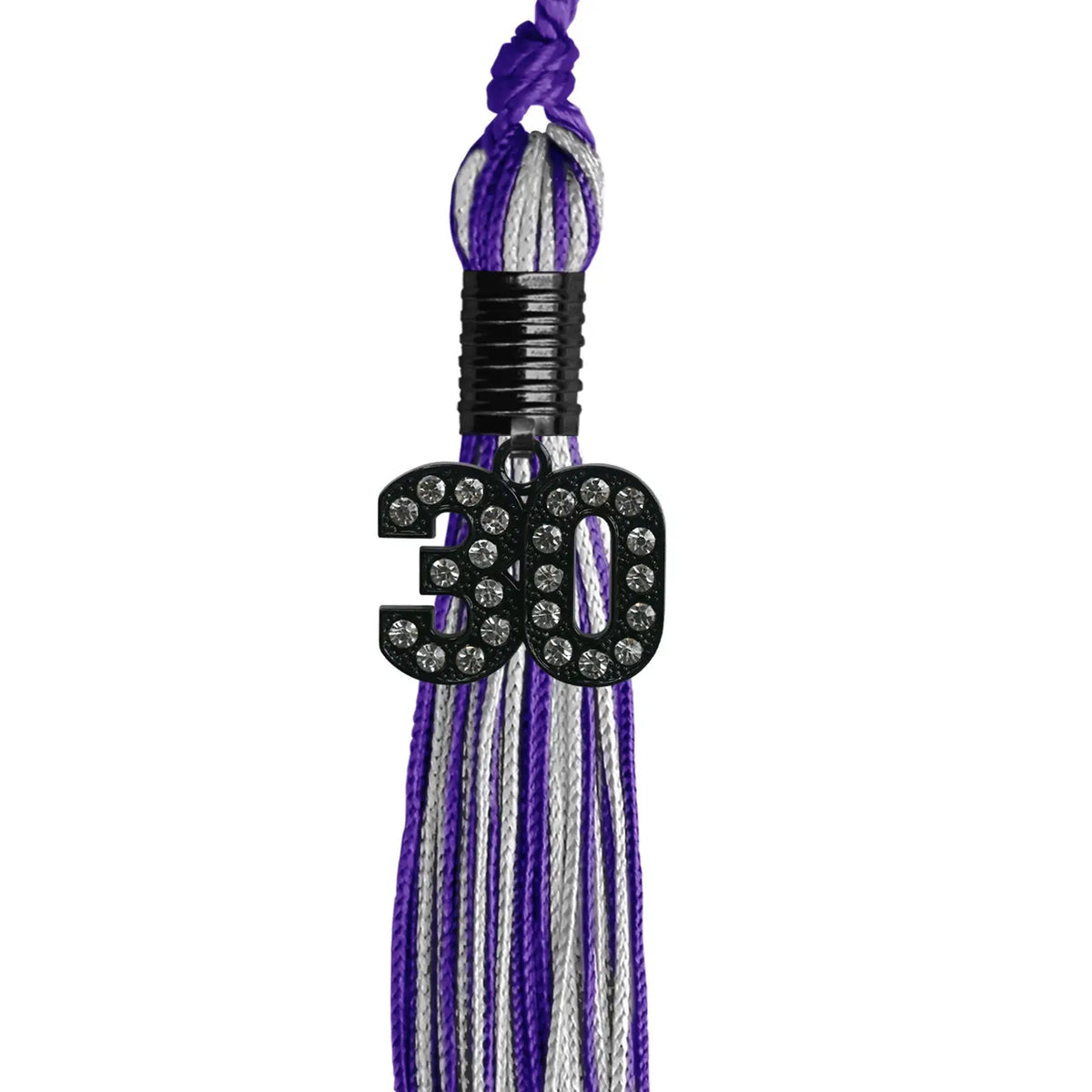 Purple/Silver Mixed Color Graduation Tassel with Black Bling Charm by Endea Graduation