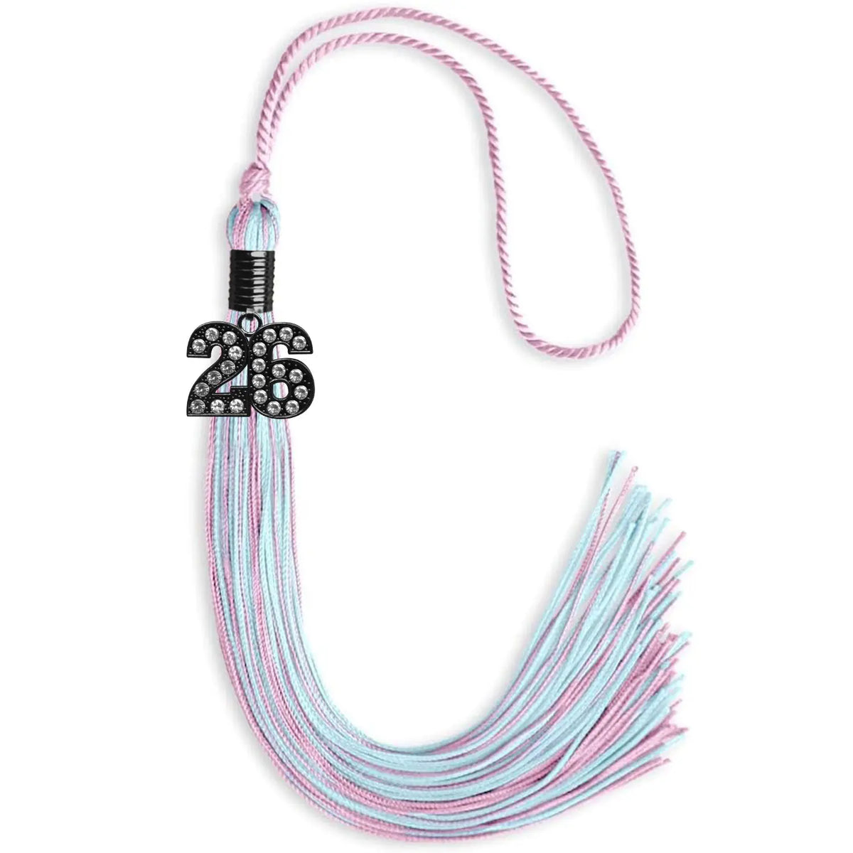 Pink/Light Blue Mixed Color Graduation Tassel with Black Bling Charm by Endea Graduation