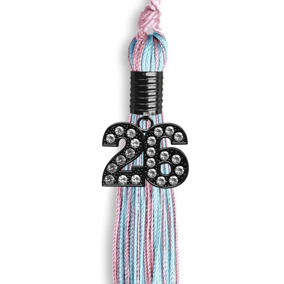 Pink/Light Blue Mixed Color Graduation Tassel with Black Bling Charm by Endea Graduation