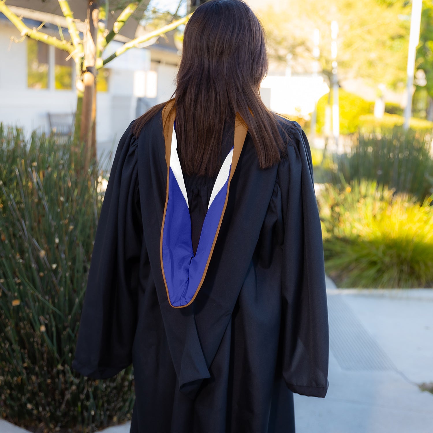 Bachelors Hood For Business, Accounting, Commerce, Industrial, Labor Relations - Drab/Royal Blue/White - Endea Graduation