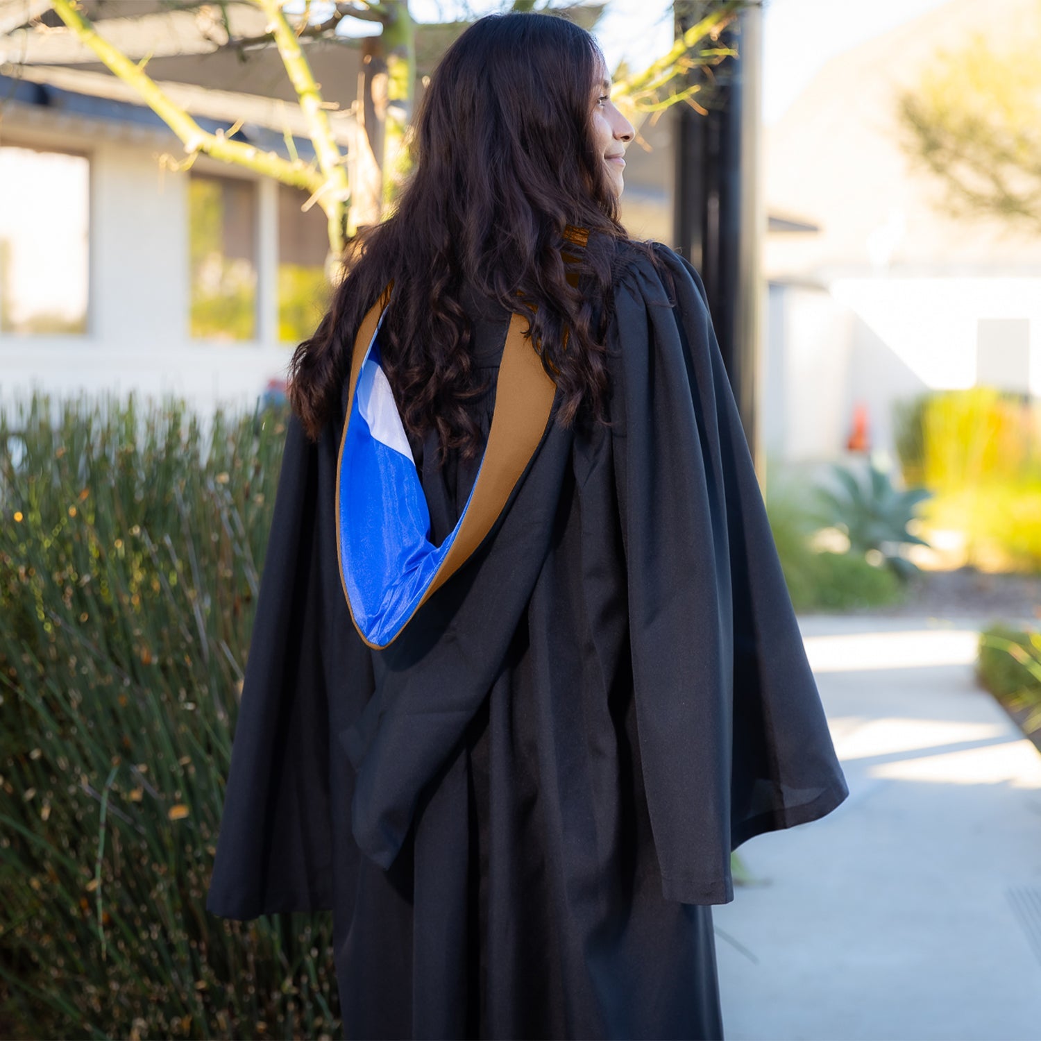 Bachelors Hood For Business, Accounting, Commerce, Industrial, Labor Relations - Drab/Royal Blue/White - Endea Graduation