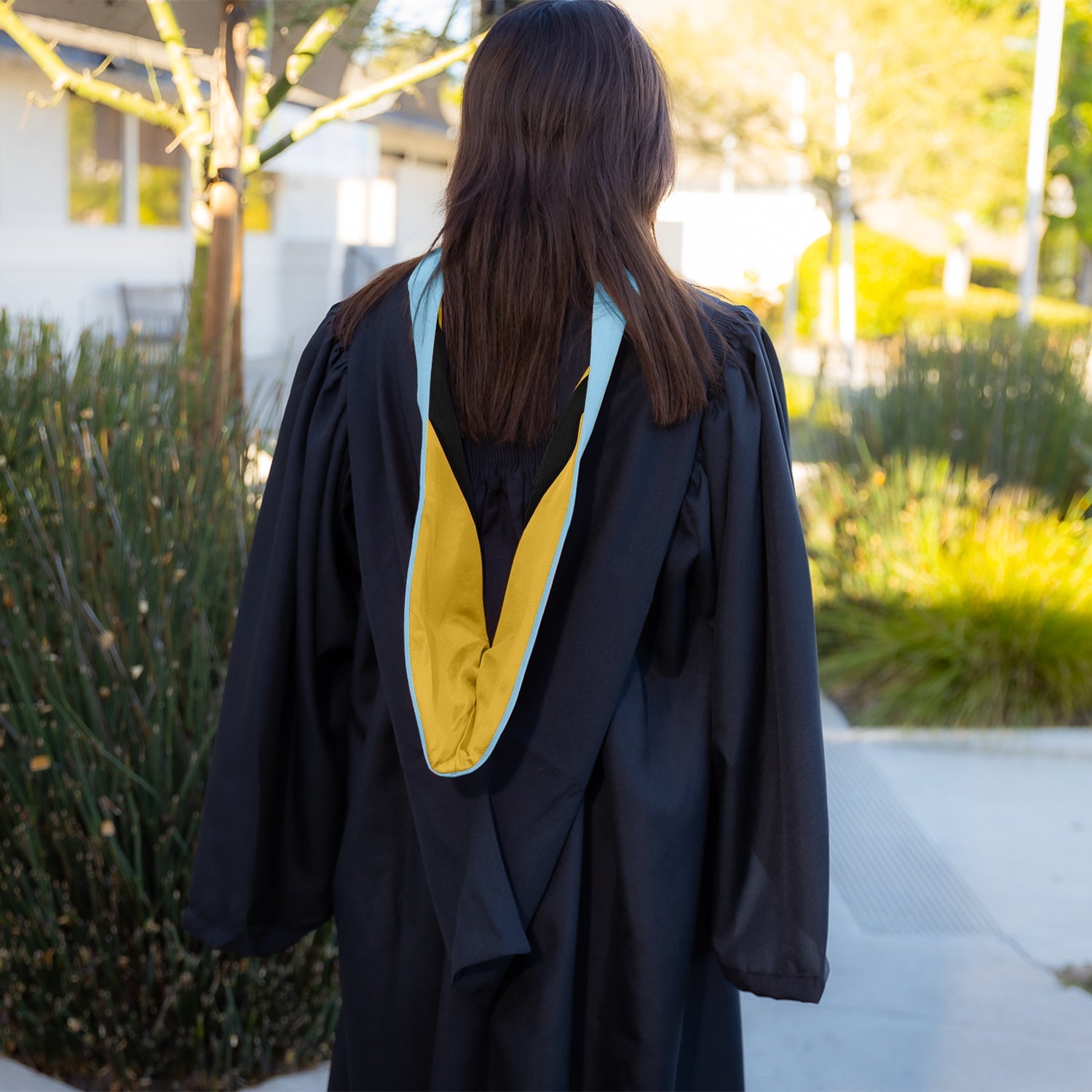 Bachelors Hood For Education, Counseling & Guidance, Arts in Education - Light Blue/Gold/Black - Endea Graduation