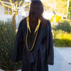 Bachelors Hood For Science, Mathematics, Political Science - Gold/Black/Antique Gold - Endea Graduation