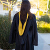 Bachelors Hood For Science, Mathematics, Political Science - Gold/Gold/Brown - Endea Graduation