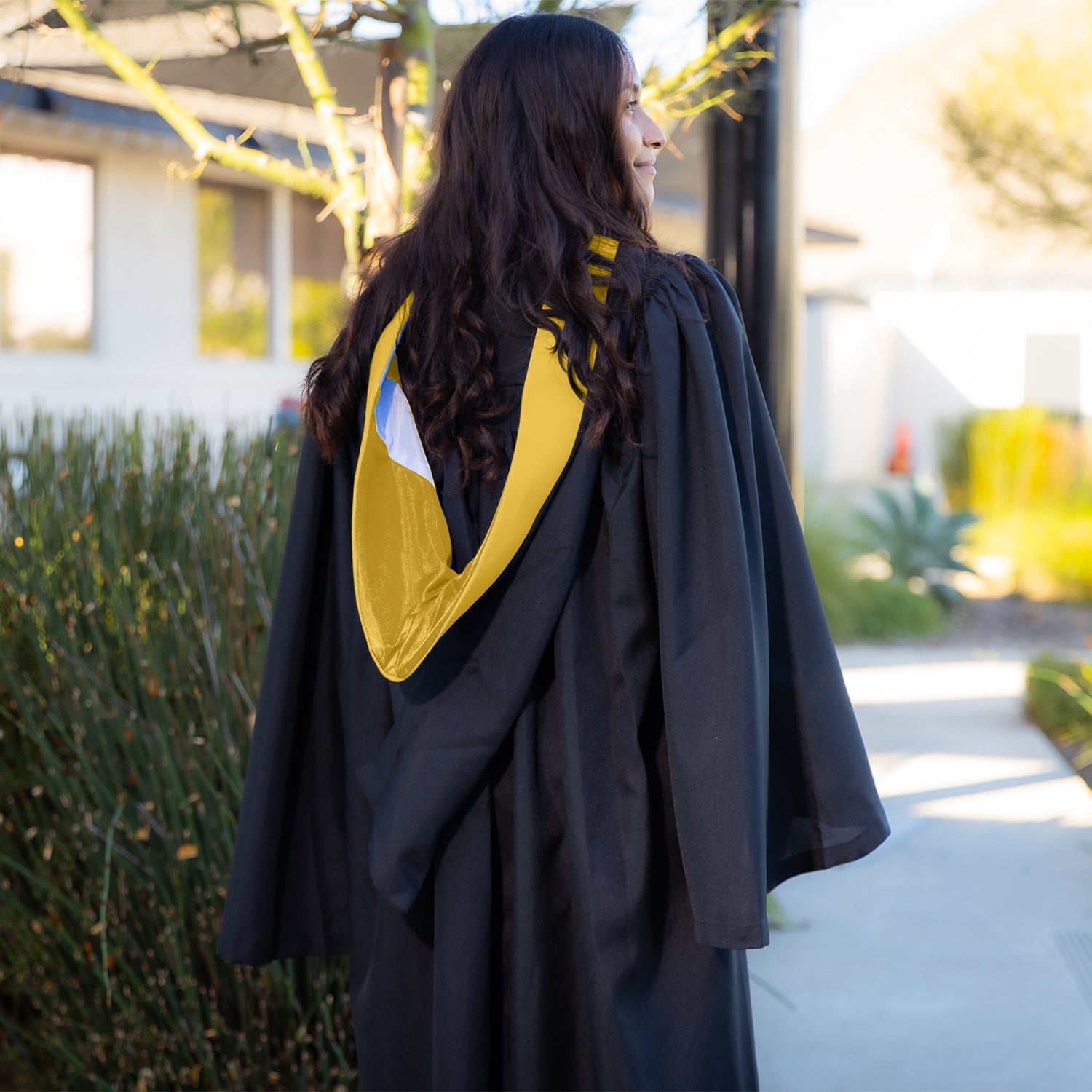 Bachelors Hood For Science, Mathematics, Political Science - Gold/Gold/White - Endea Graduation