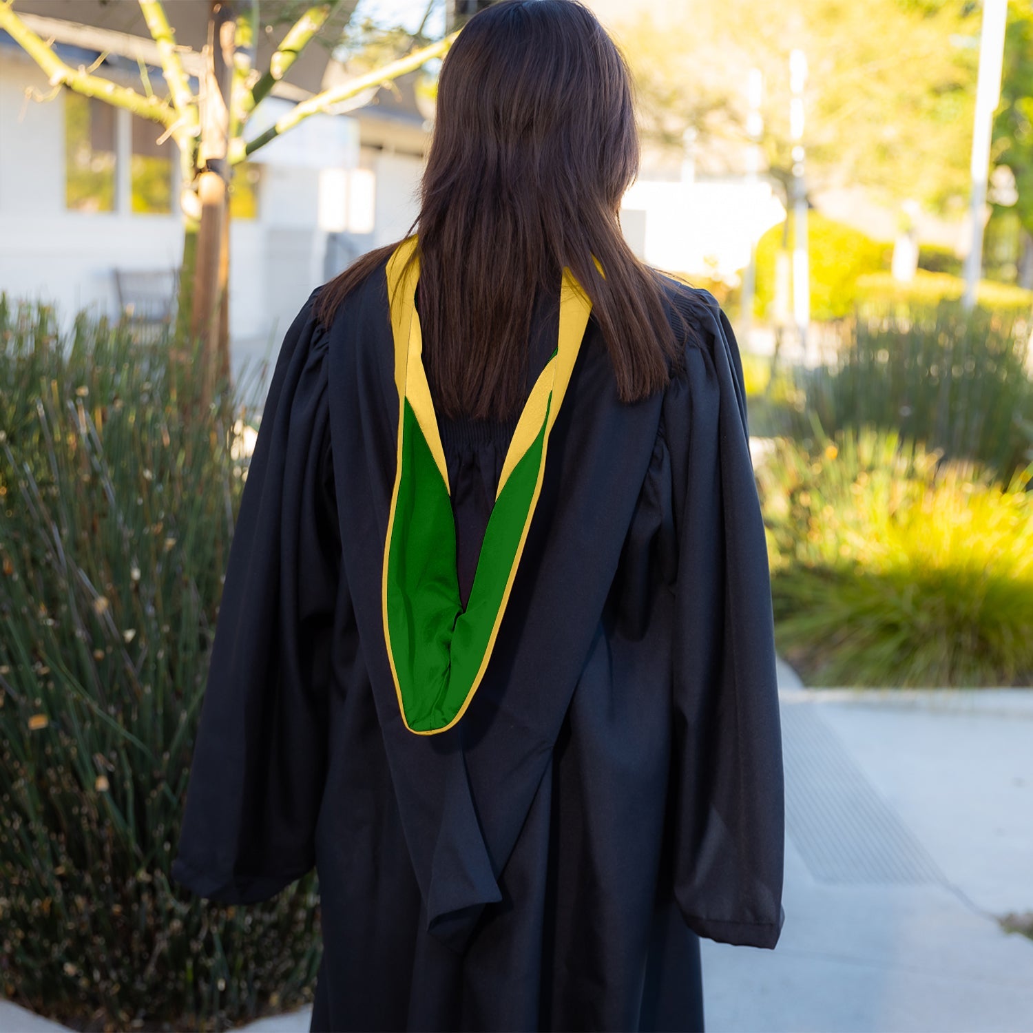 Bachelors Hood For Science, Mathematics, Political Science - Gold/Green/Gold - Endea Graduation