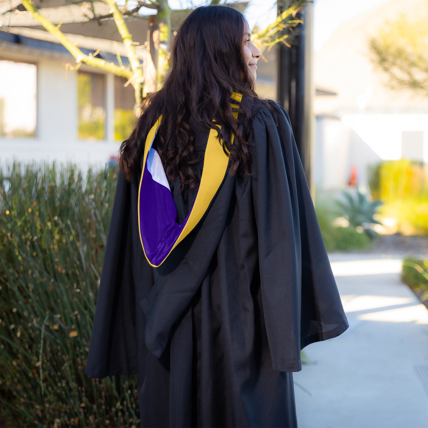 Bachelors Hood For Science, Mathematics, Political Science - Gold/Purple/White - Endea Graduation