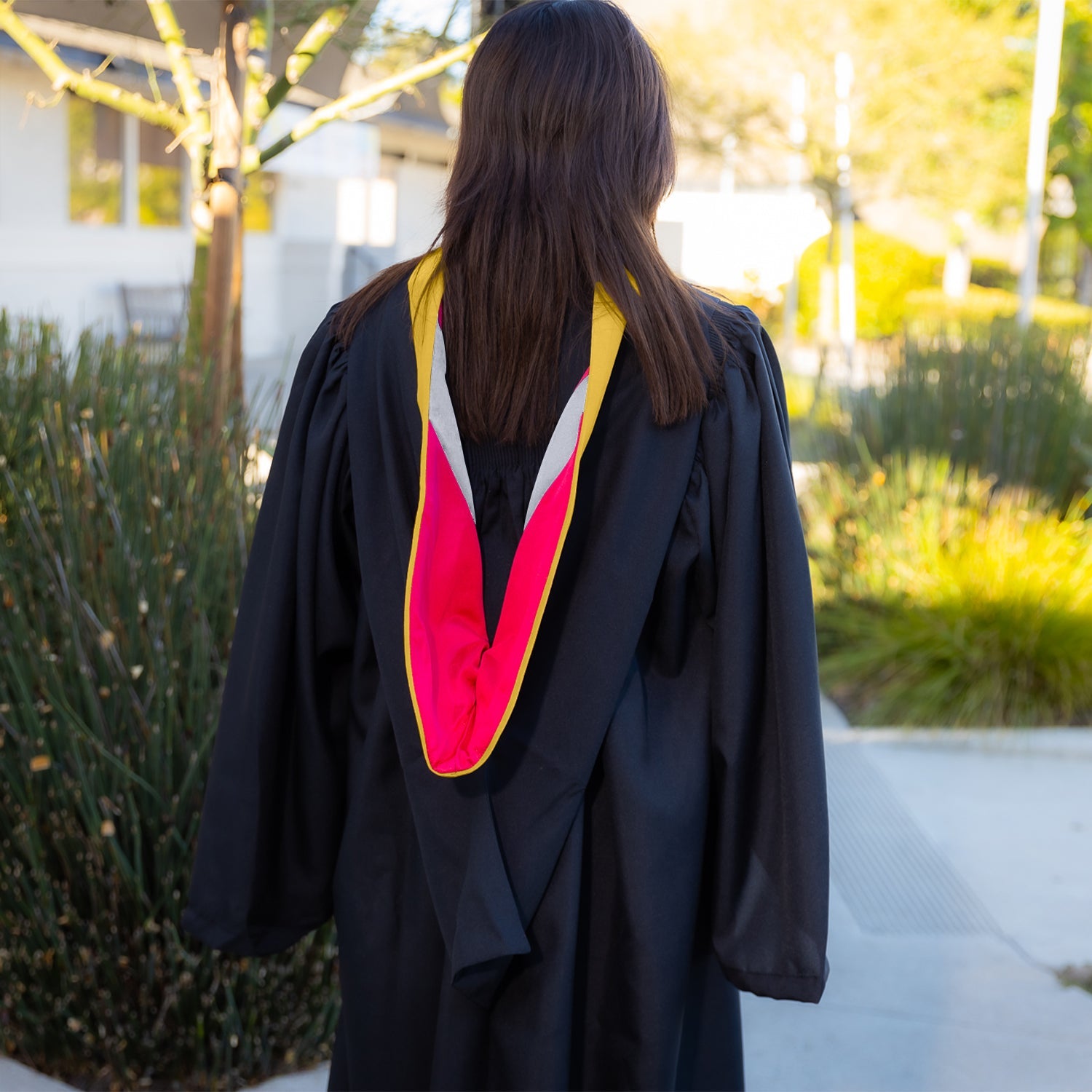 Bachelors Hood For Science, Mathematics, Political Science - Gold/Red/Silver - Endea Graduation