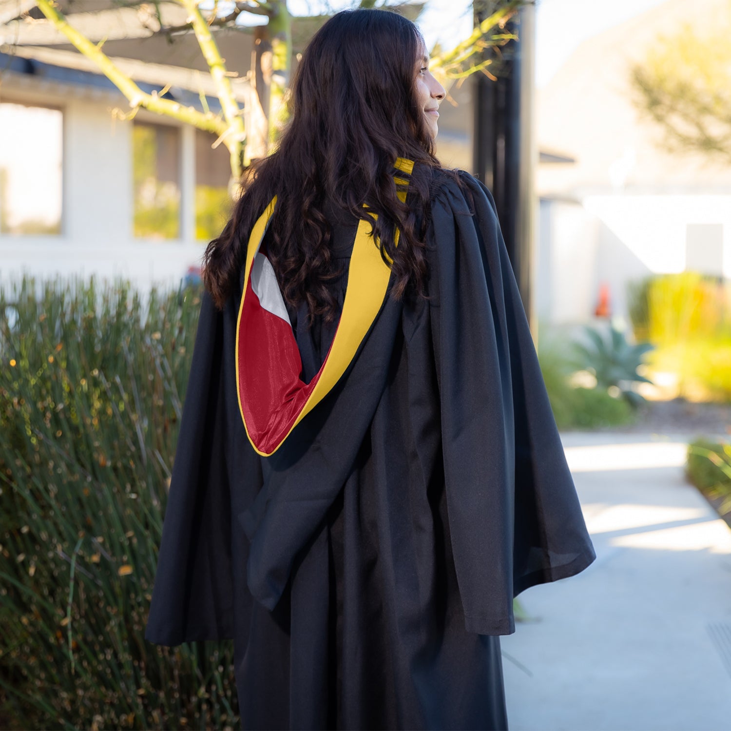 Bachelors Hood For Science, Mathematics, Political Science - Gold/Red/Silver - Endea Graduation