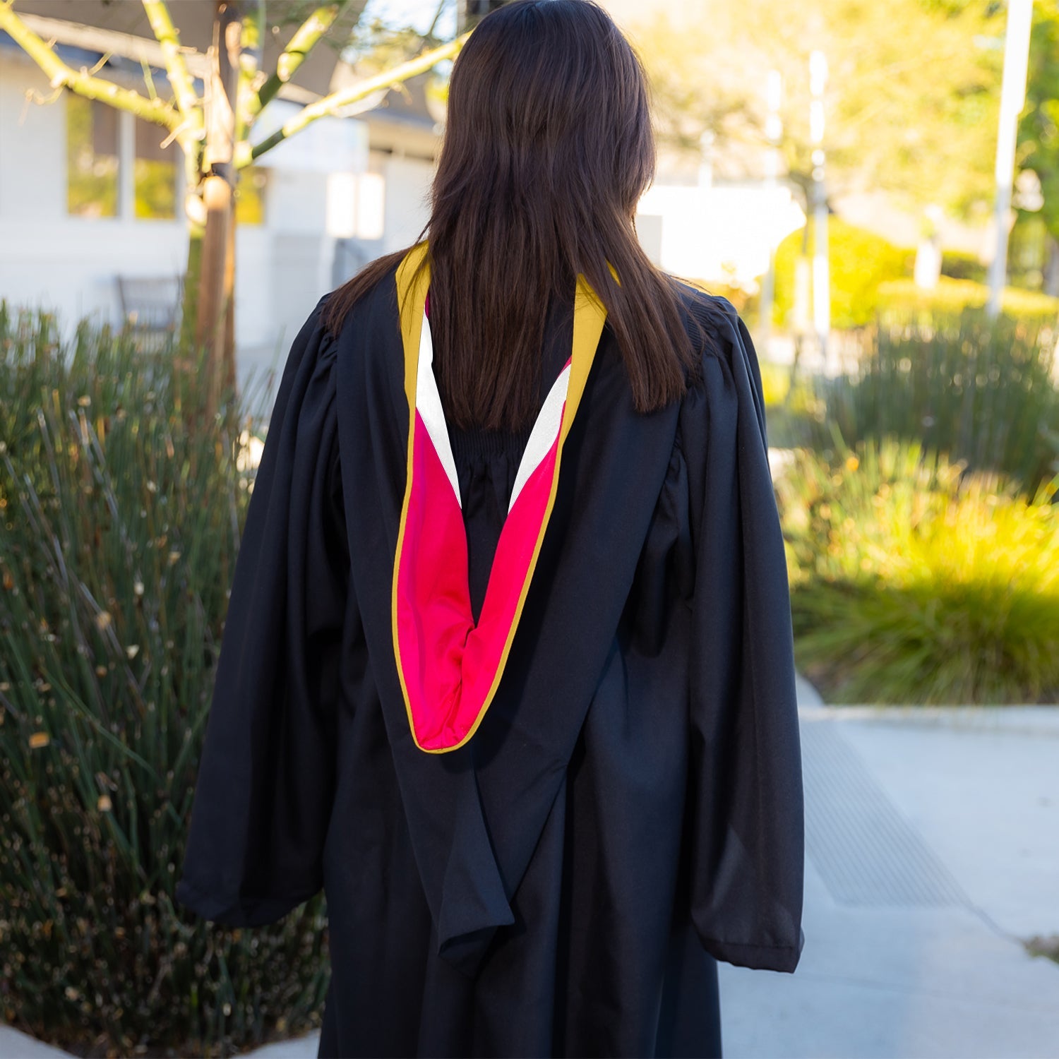 Bachelors Hood For Science, Mathematics, Political Science - Gold/Red/White - Endea Graduation