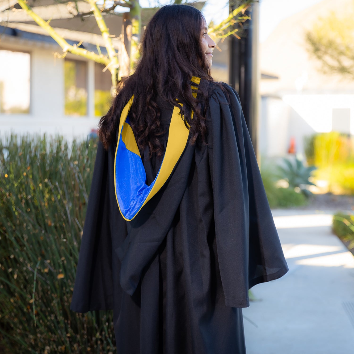 Bachelors Hood For Science, Mathematics, Political Science - Gold/Royal Blue/Gold - Endea Graduation