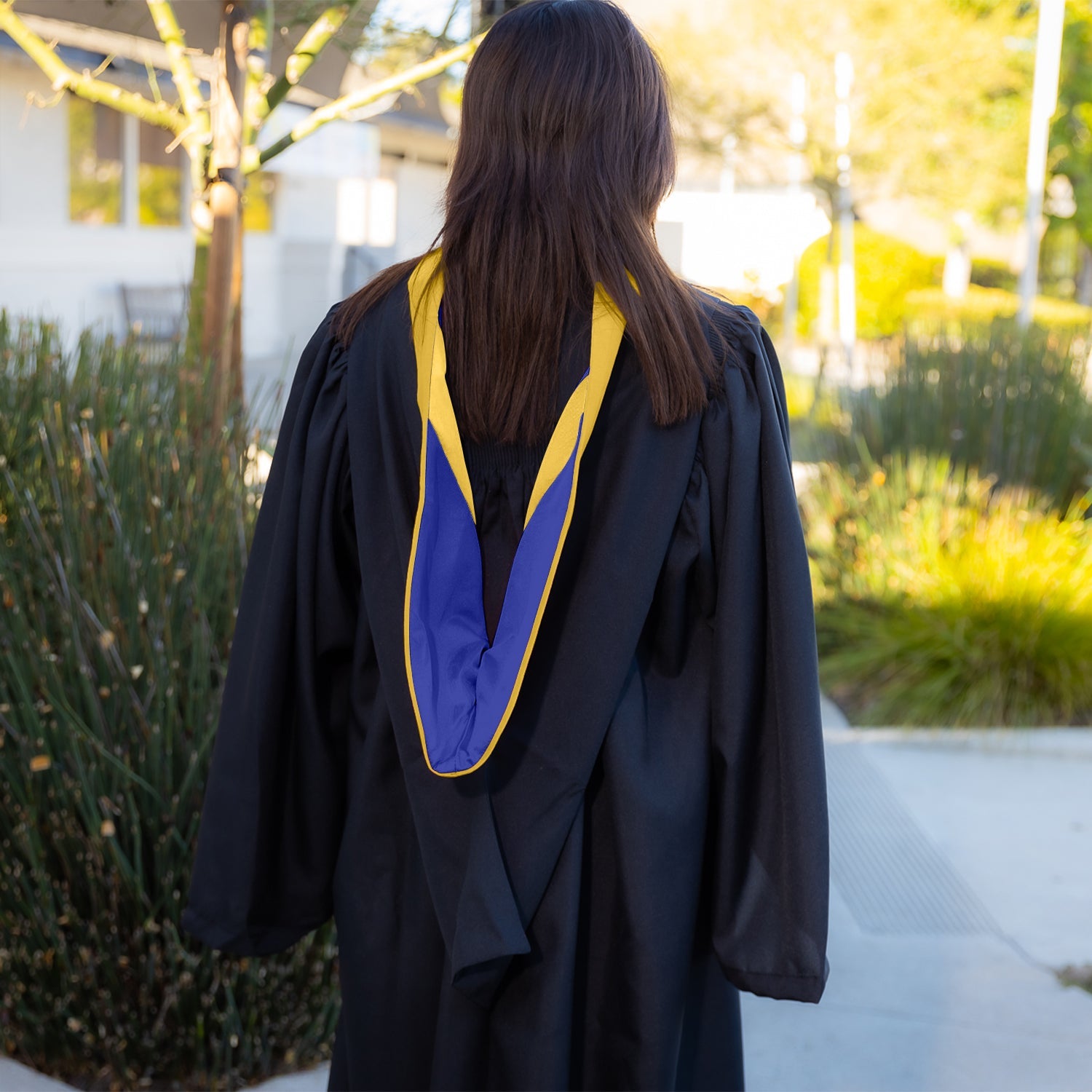 Bachelors Hood For Science, Mathematics, Political Science - Gold/Royal Blue/Gold - Endea Graduation