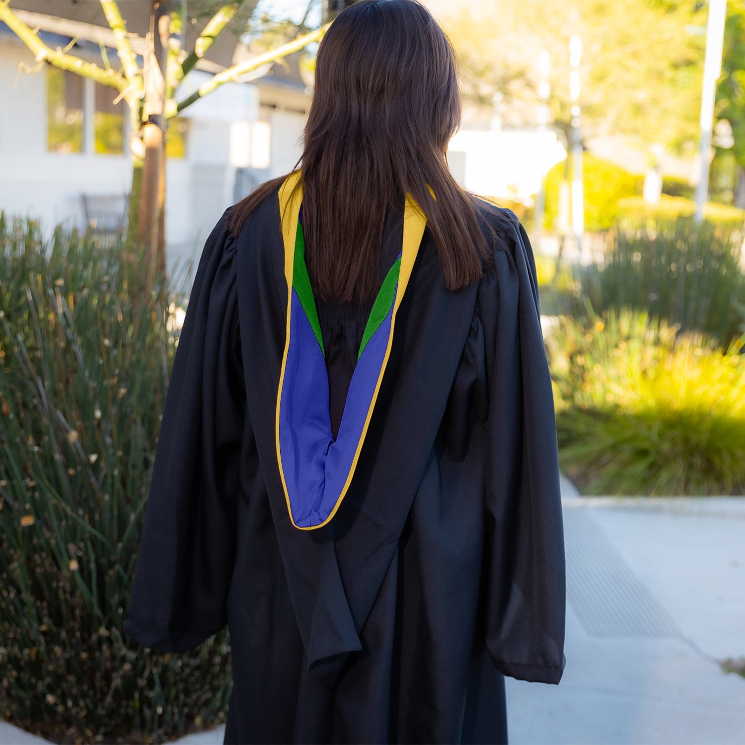 Bachelors Hood For Science, Mathematics, Political Science - Gold/Royal Blue/Green - Endea Graduation