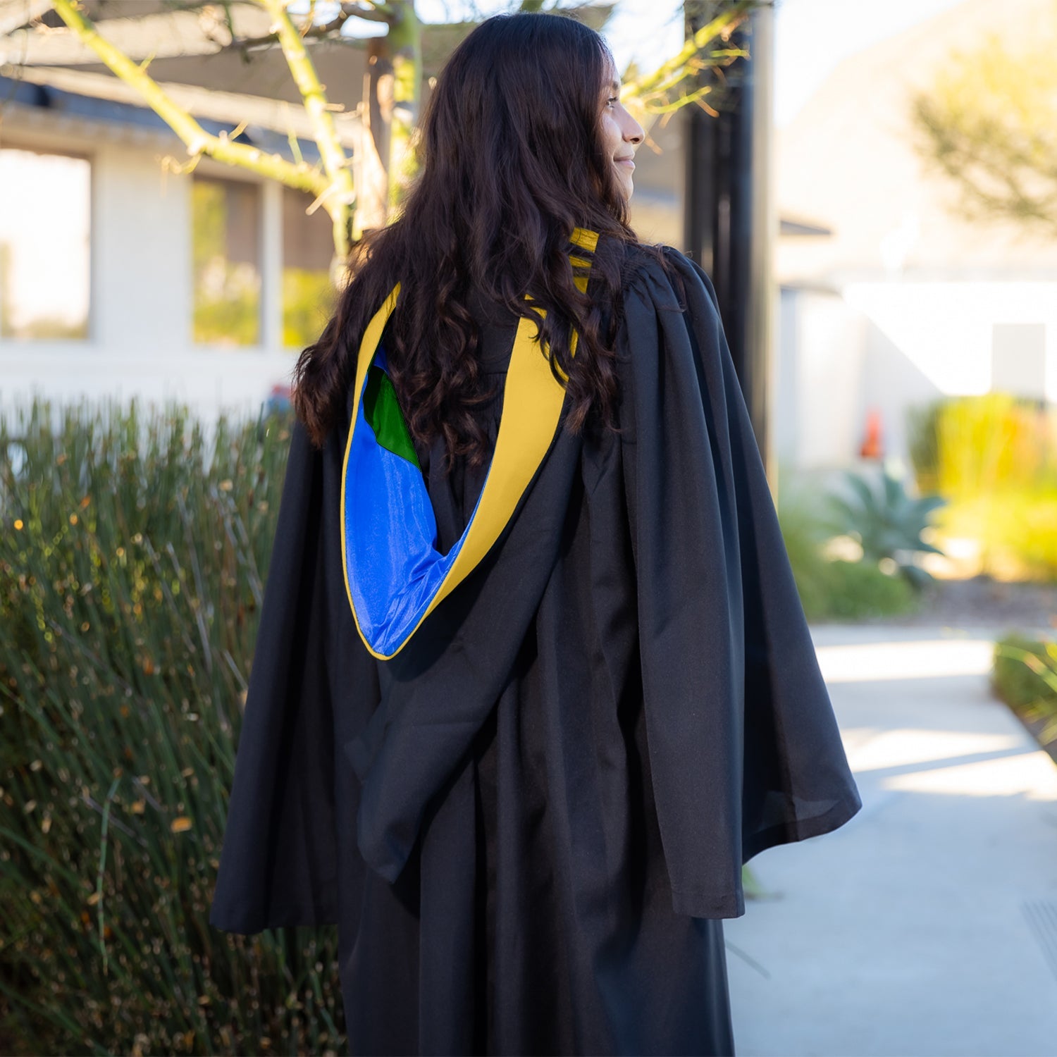 Bachelors Hood For Science, Mathematics, Political Science - Gold/Royal Blue/Green - Endea Graduation