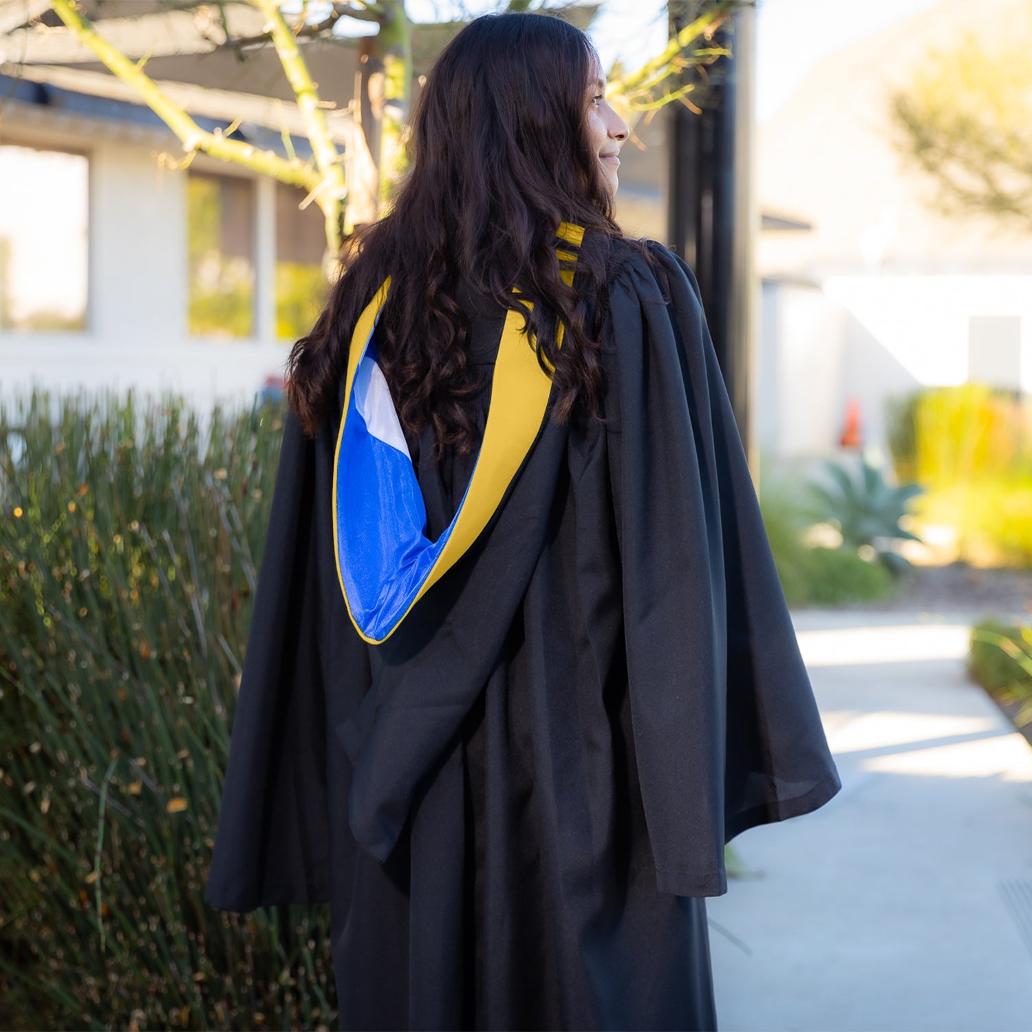 Bachelors Hood For Science, Mathematics, Political Science - Gold/Royal Blue/White - Endea Graduation