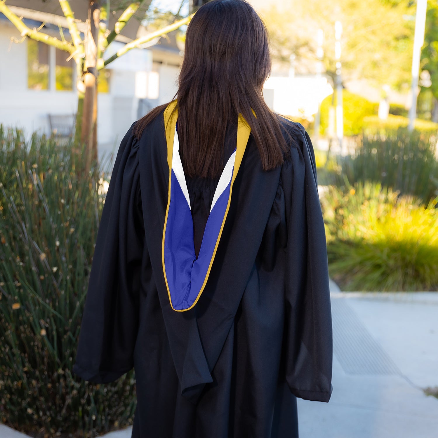 Bachelors Hood For Science, Mathematics, Political Science - Gold/Royal Blue/White - Endea Graduation