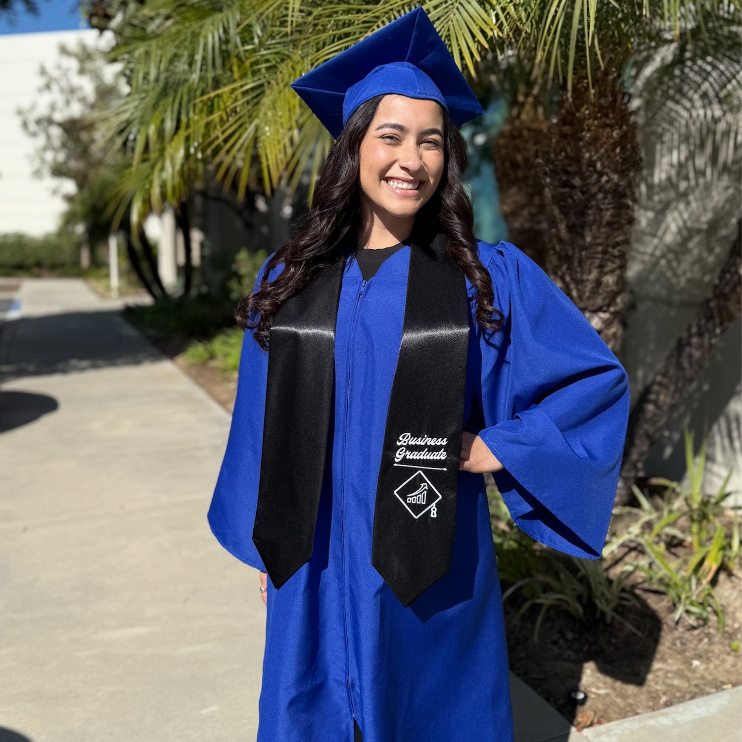 Endea Graduation Black Business Graduate Stole/Sash with Classic Tips