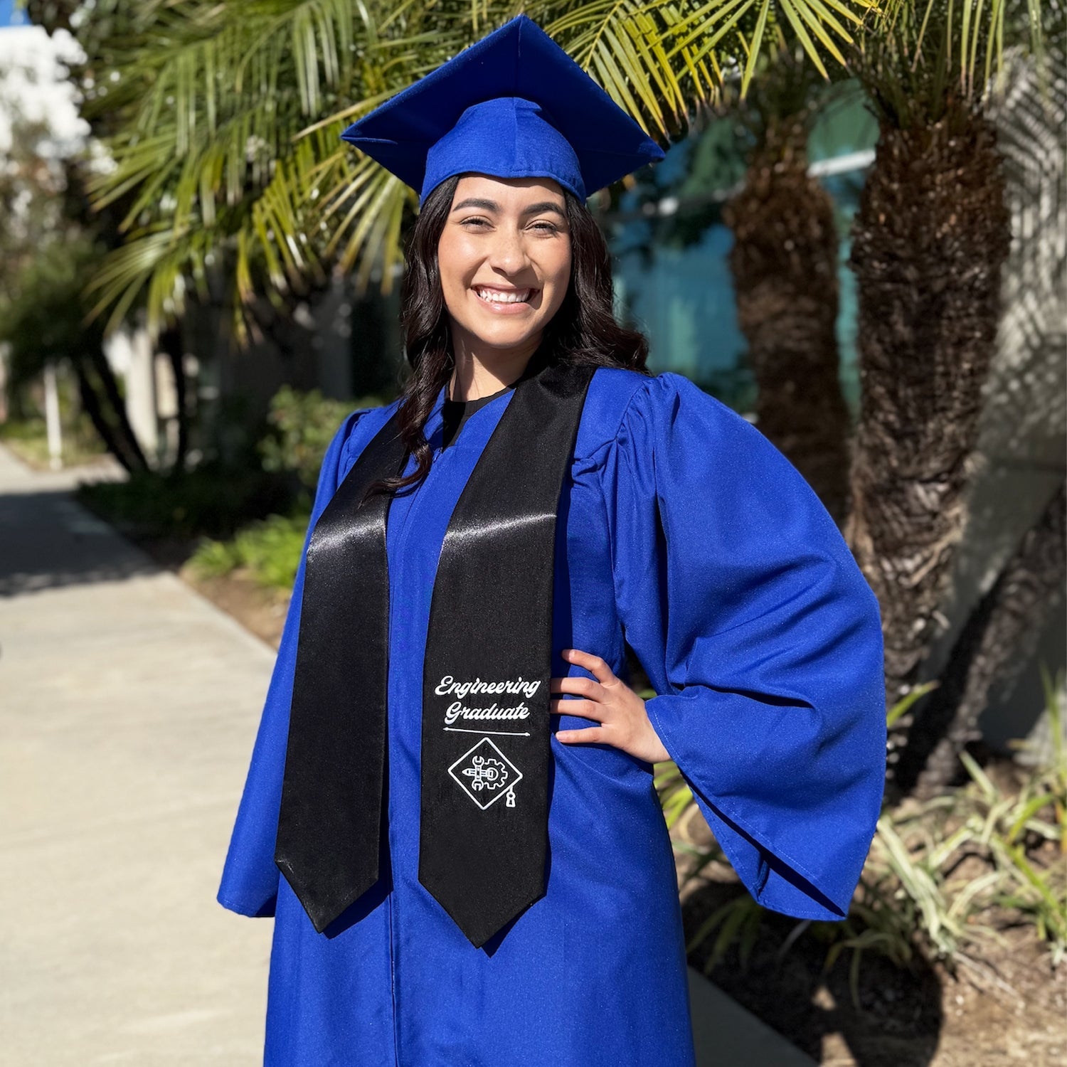 Black Engineering Graduate Stole/Sash with Classic Tips - Endea Graduation