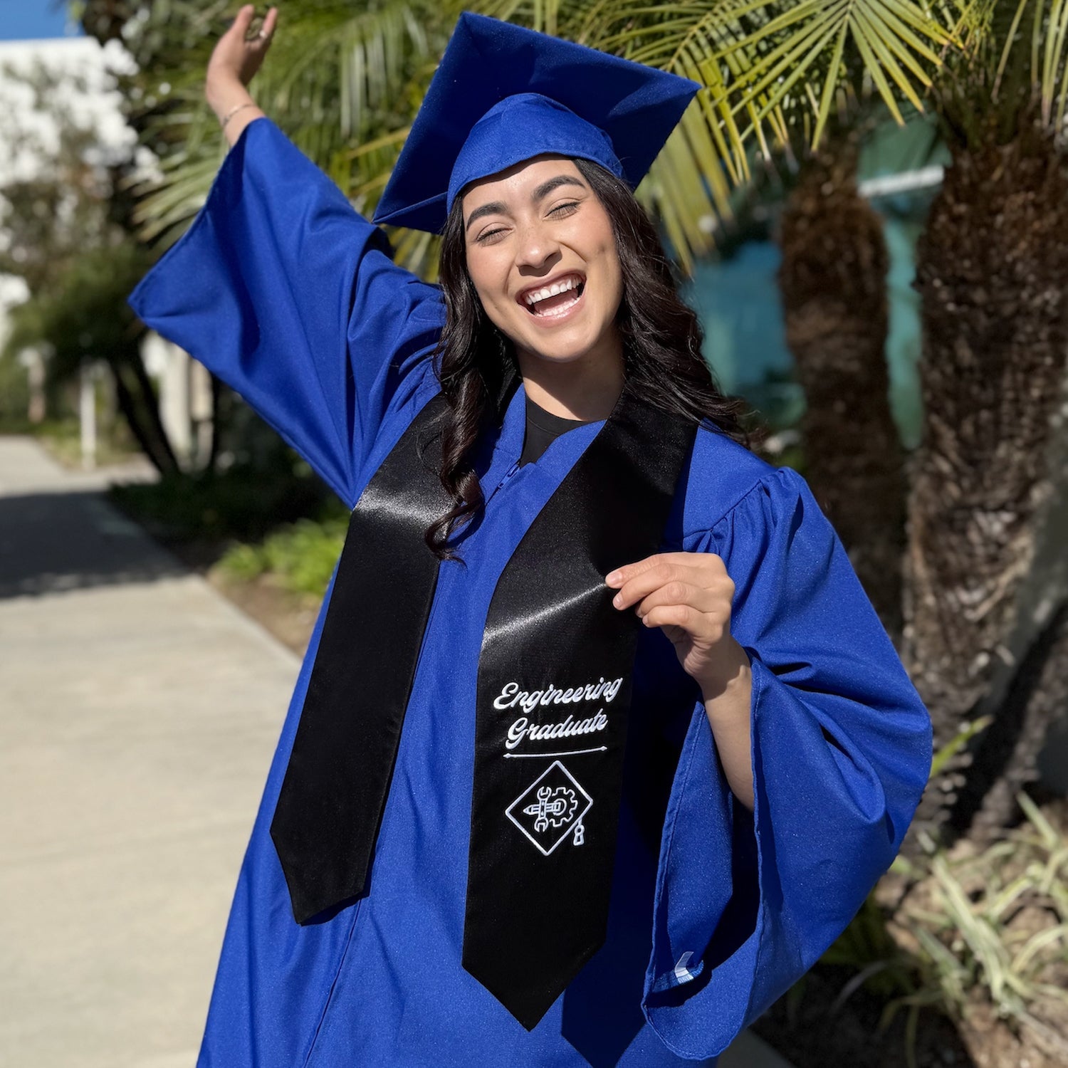 Black Engineering Graduate Stole/Sash with Classic Tips - Endea Graduation