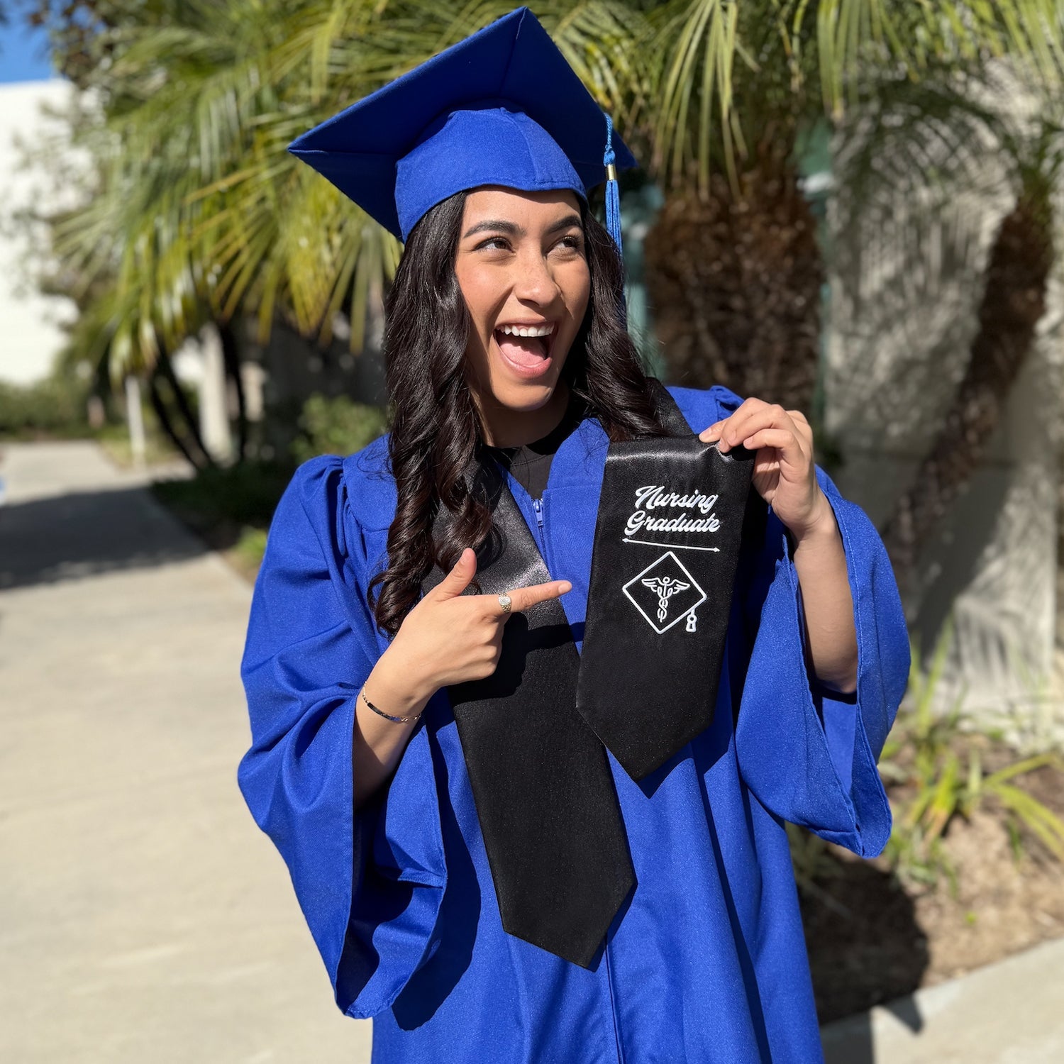 Black Nursing Graduate Stole/Sash with Classic Tips - Endea Graduation