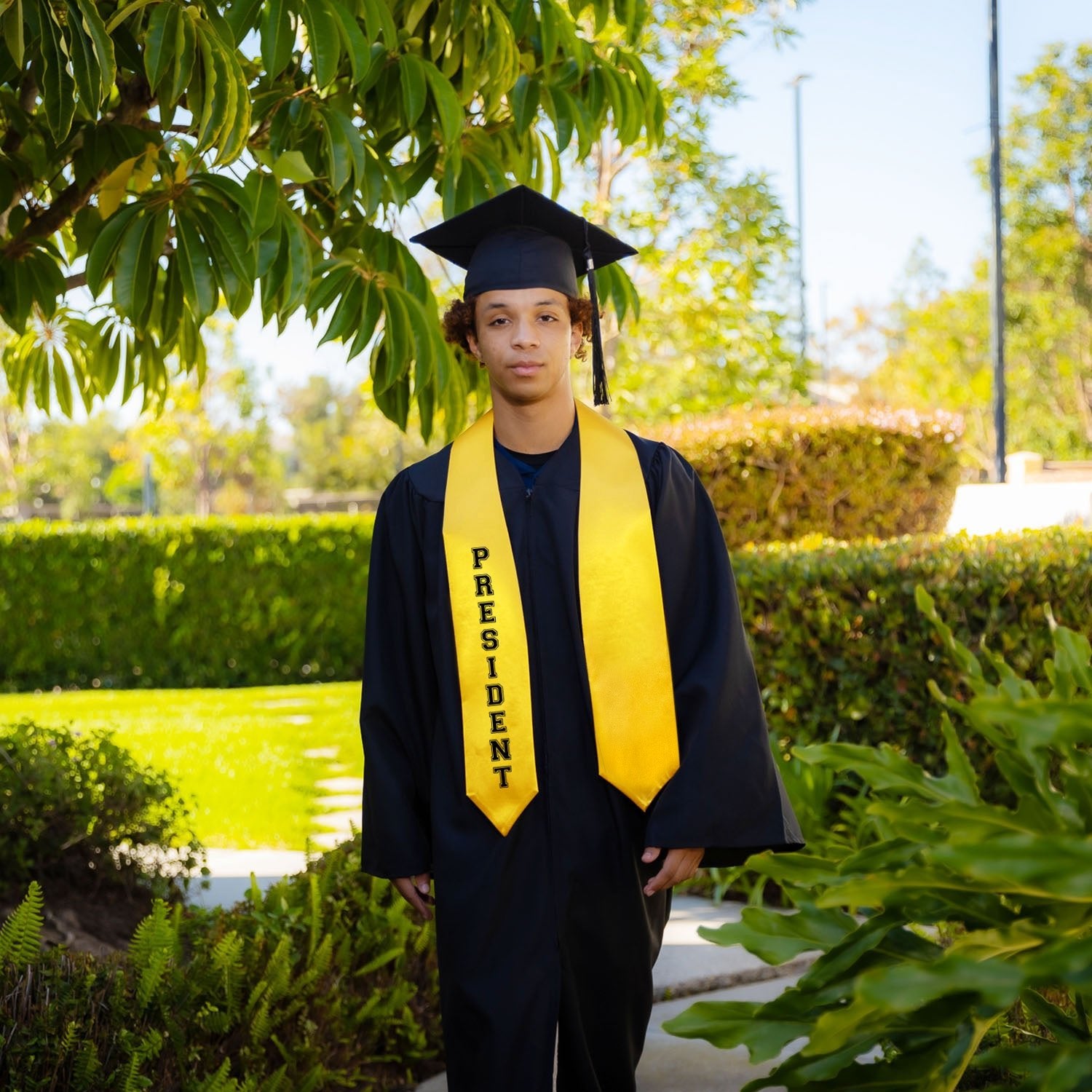 Gold President Graduation Stole - Endea Graduation