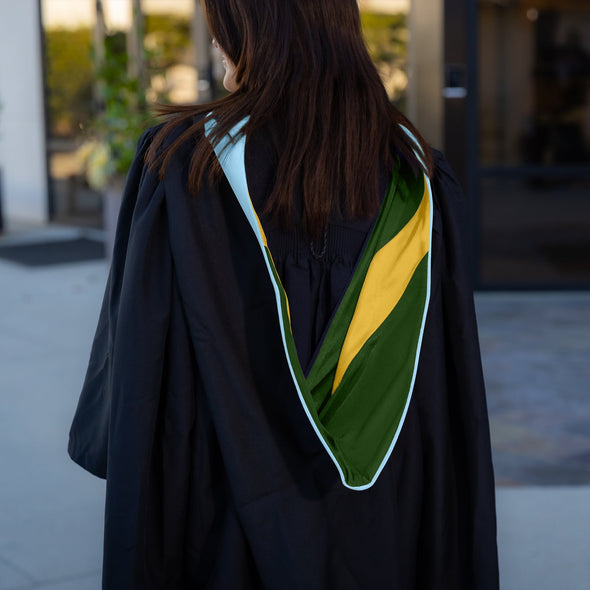 Masters Hood For Education, Counseling & Guidance, Arts in Education - Light Blue/Forest Green/Gold - Endea Graduation