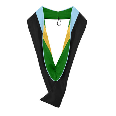 Masters Hood For Education, Counseling & Guidance, Arts in Education - Light Blue/Green/Gold - Endea Graduation