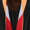 Masters Hood For Nursing - Apricot/Red/Silver - Endea Graduation