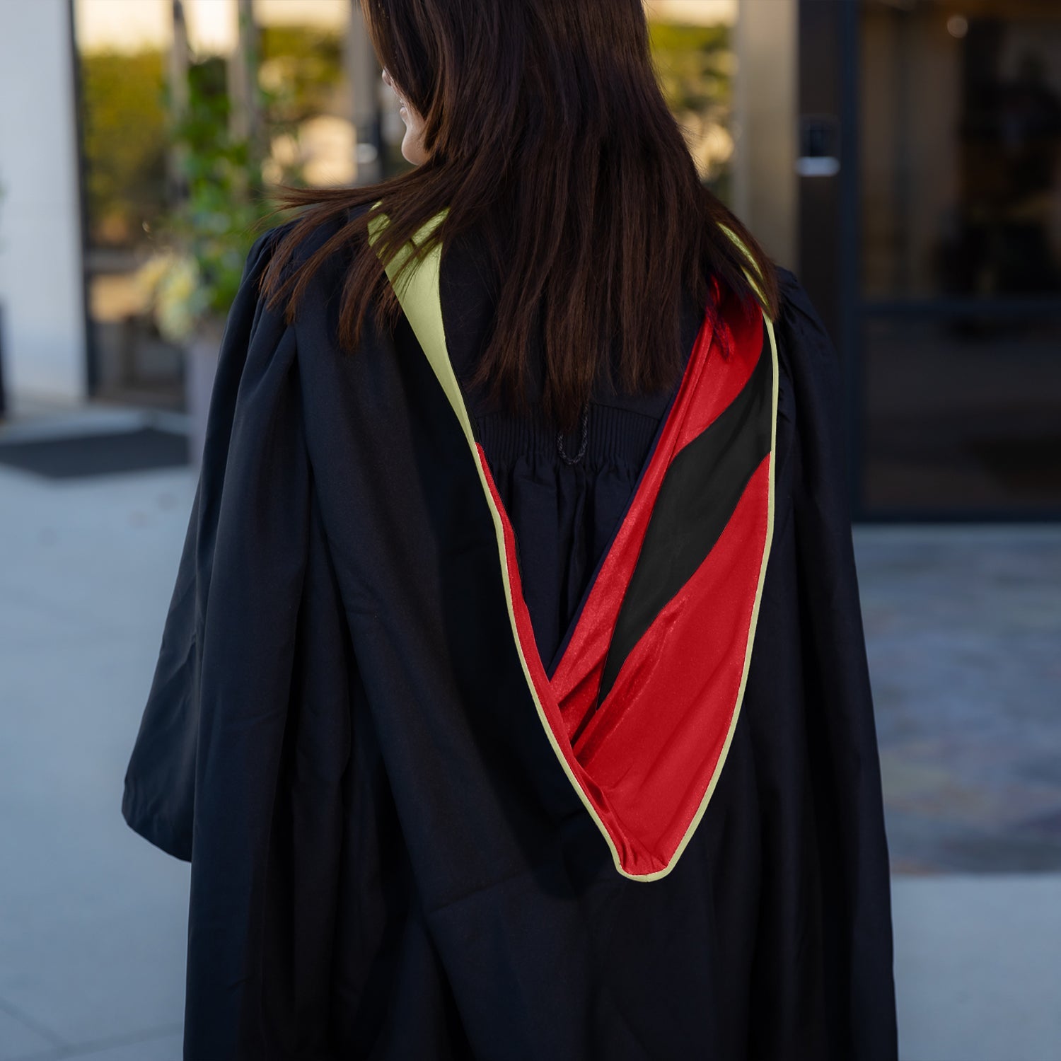 Masters Hood For Physical Education, Physical Science, Hygiene, Health & Rehab. - Sage/Red/Black - Endea Graduation