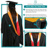Masters Hood For Physical Education, Physical Science, Hygiene, Health & Rehab. - Sage/Red/Black - Endea Graduation
