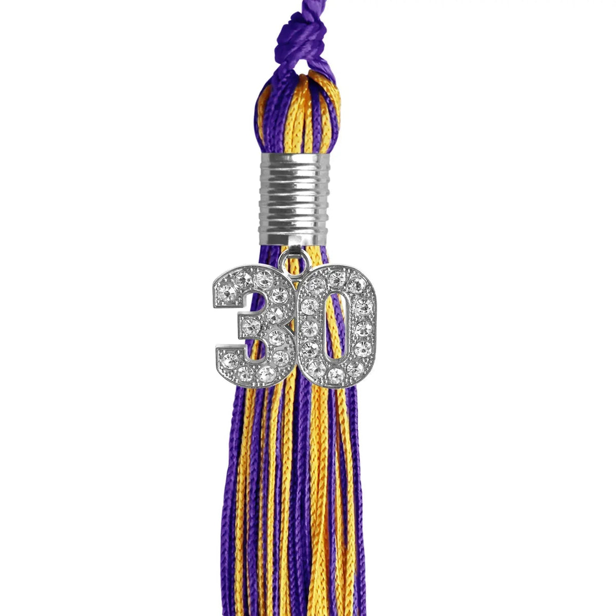 Purple/Gold Mixed Color Graduation Tassel with Silver Bling Charm - Endea Graduation