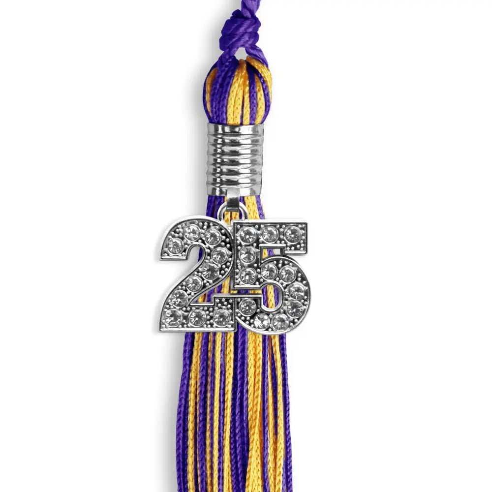 Purple/Gold Mixed Color Graduation Tassel with Silver Bling Charm - Endea Graduation