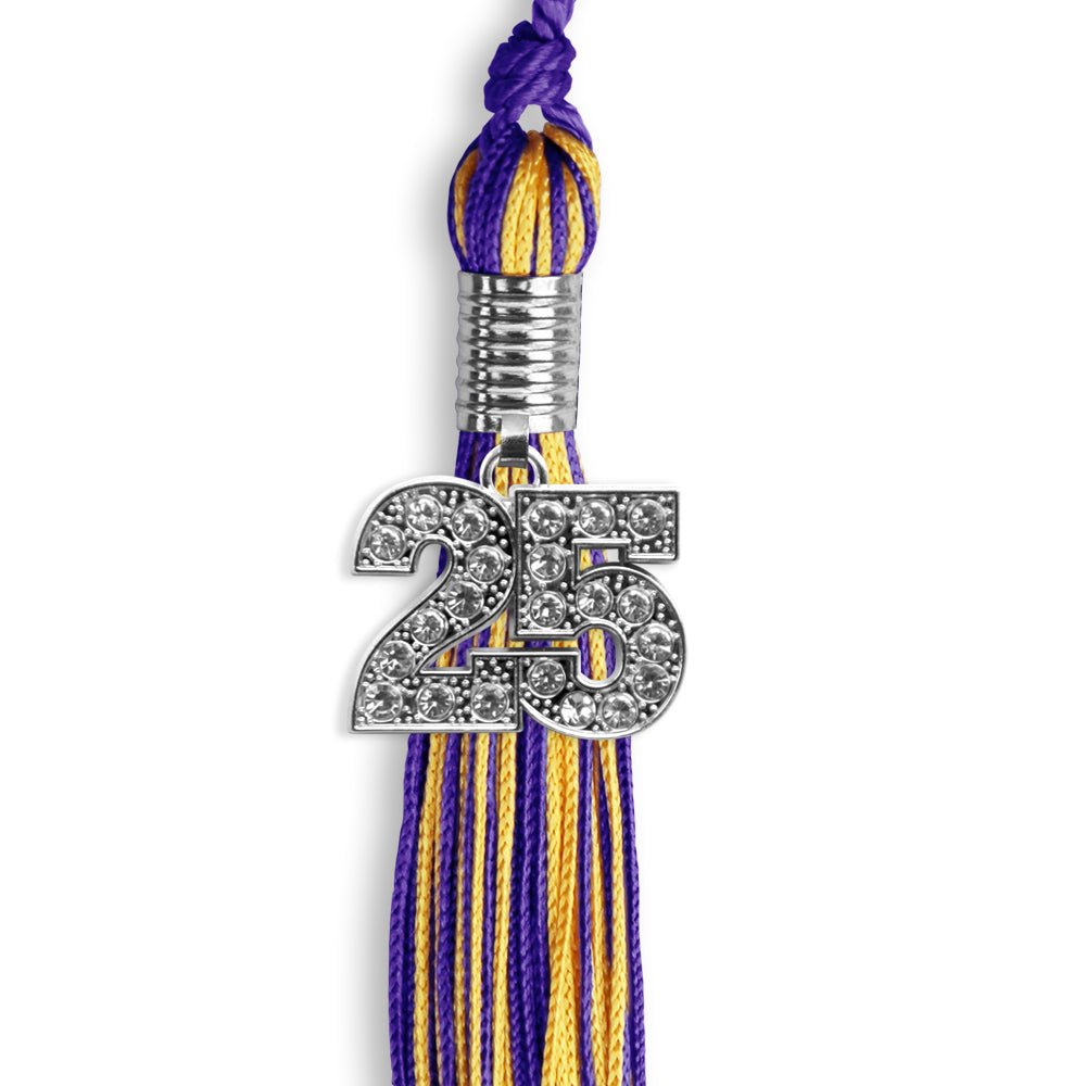 Purple/Gold Mixed Color Graduation Tassel with Silver Date Drop - Endea Graduation