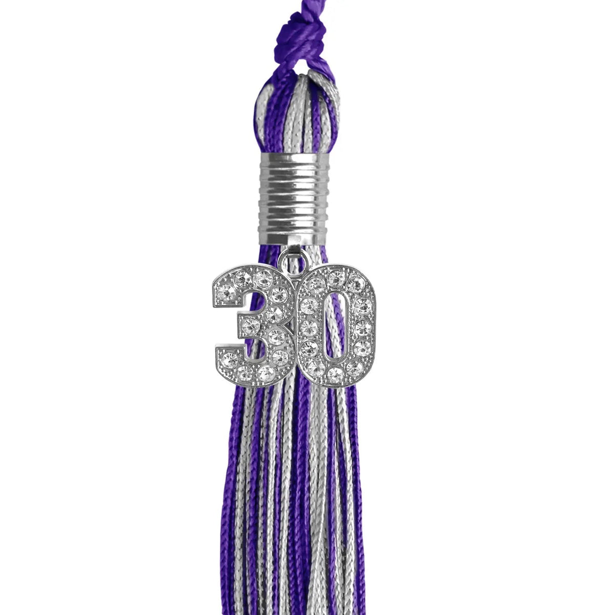 Purple/Silver Mixed Color Graduation Tassel with Silver Bling Charm - Endea Graduation
