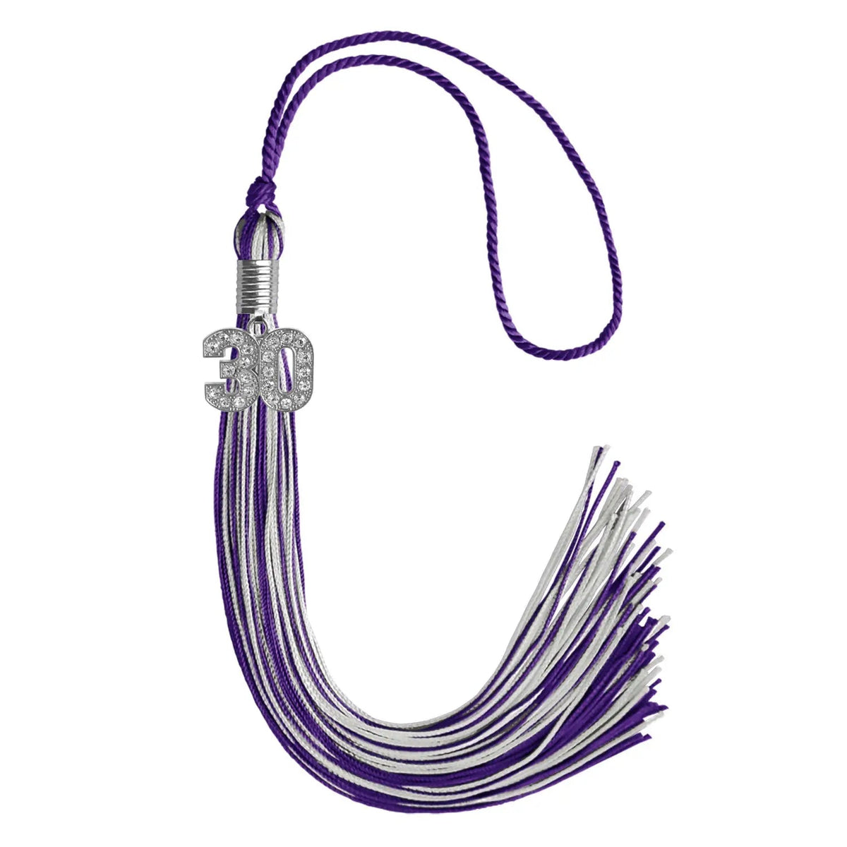 Purple/Silver Mixed Color Graduation Tassel with Silver Bling Charm - Endea Graduation