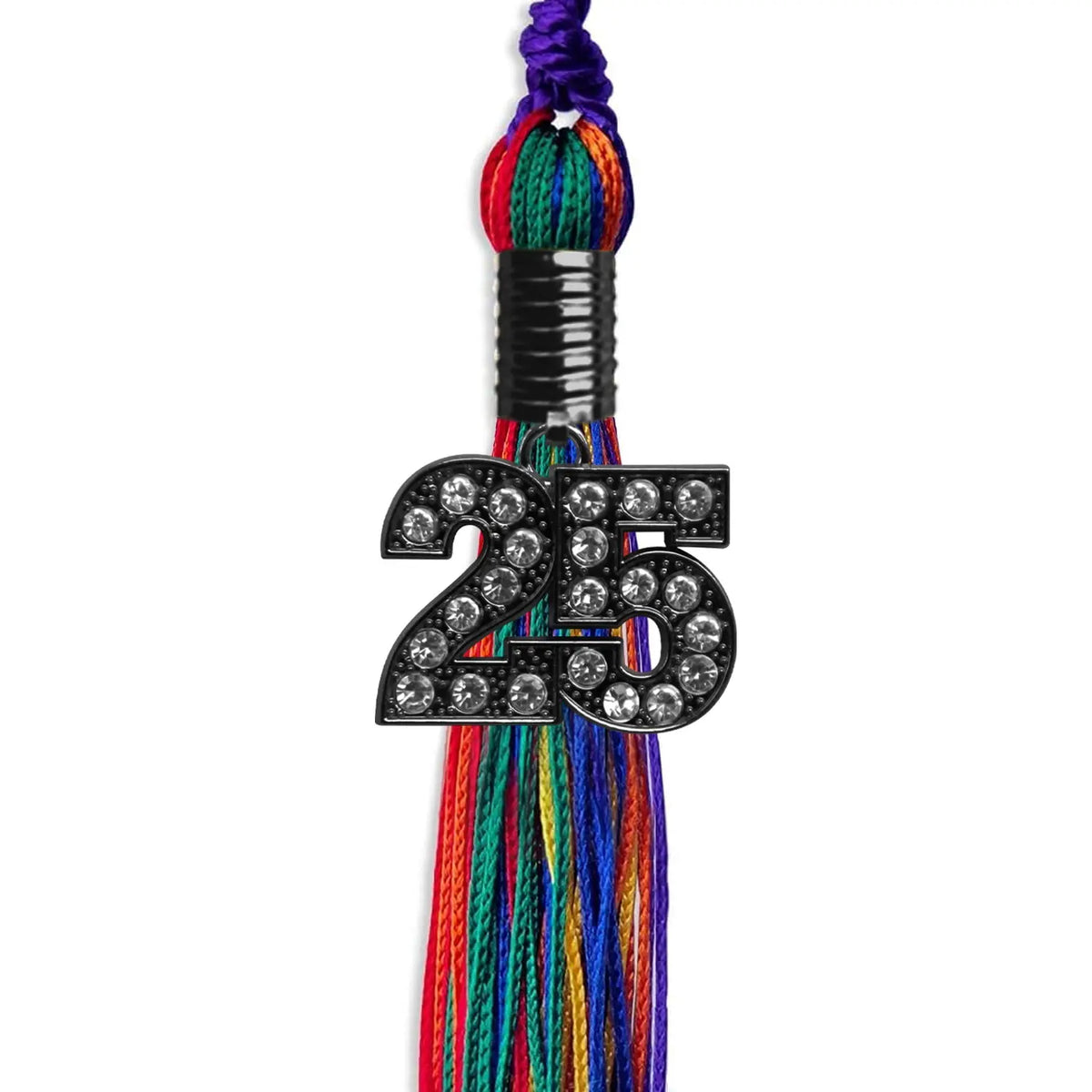 Rainbow Graduation Tassel with Black Bling Charm by Endea Graduation