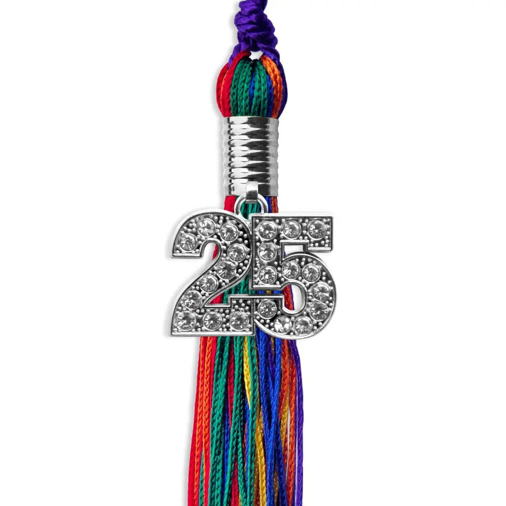 Rainbow Graduation Tassel with Silver Bling Charm by Endea Graduation
