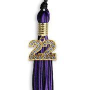 Black/Purple Mixed Color Graduation Tassel With Gold Date Drop - Endea Graduation