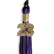 Black/Purple Mixed Color Graduation Tassel With Gold Date Drop - Endea Graduation