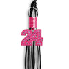 Black/Silver Mixed Color Graduation Tassel With Pink Bling Charm 2024 - Endea Graduation