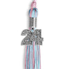 Pink/Light Blue Mixed Color Graduation Tassel With Silver Date Drop - Endea Graduation