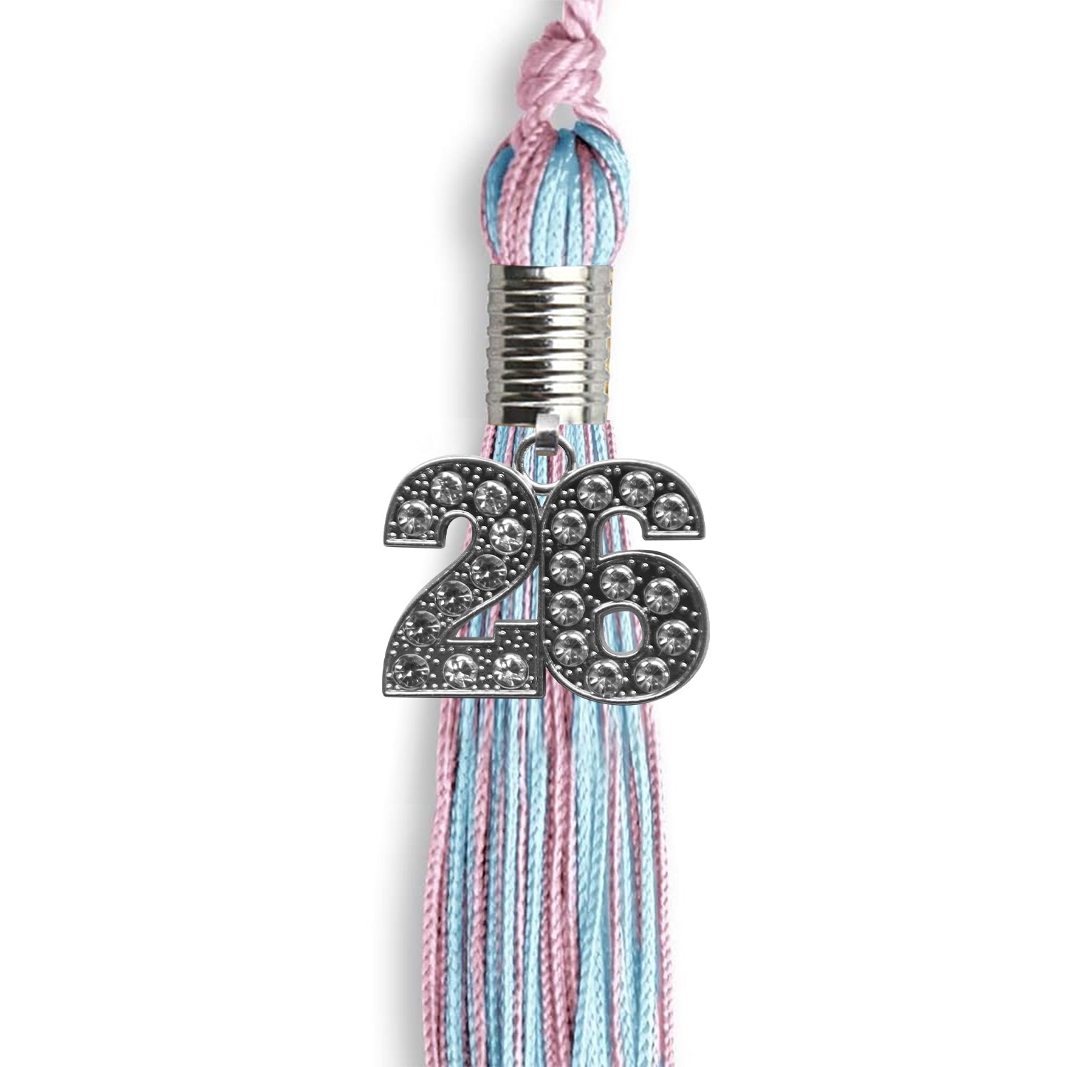 Pink/Light Blue Mixed Color Graduation Tassel With Silver Date Drop - Endea Graduation