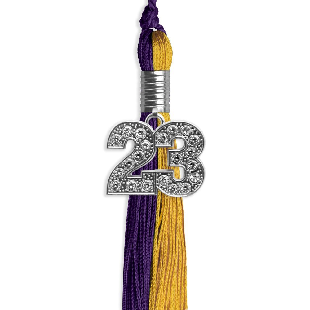 Purple/Bright Gold Graduation Tassel With Silver Date Drop - Endea Graduation