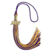 Purple/Gold Mixed Color Graduation Tassel With Gold Date Drop - Endea Graduation