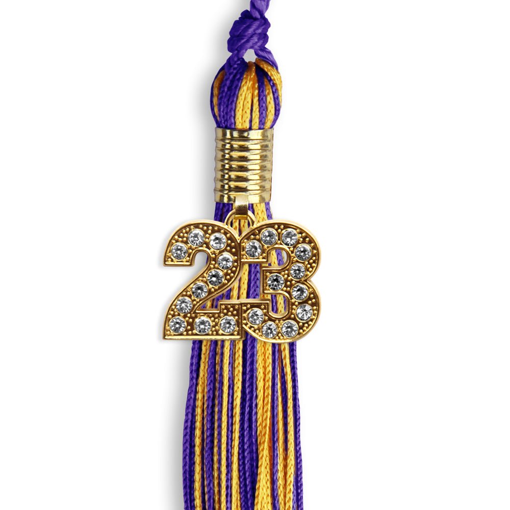 Purple/Gold Mixed Color Graduation Tassel With Gold Date Drop - Endea Graduation