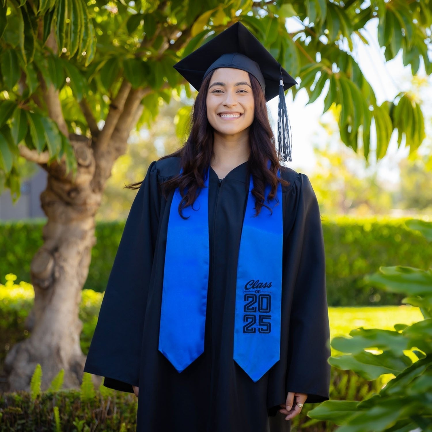 Royal Blue Class of 2025 Graduation Stole/Sash With Classic Tips - Endea Graduation